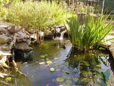 Bassin - Lézignan (11) - fin des travaux